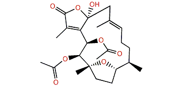 Pachyclavulariolide E